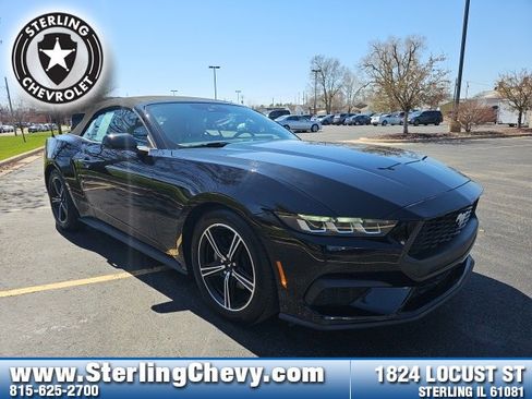 Used 2024 Ford Mustang Premium image 3