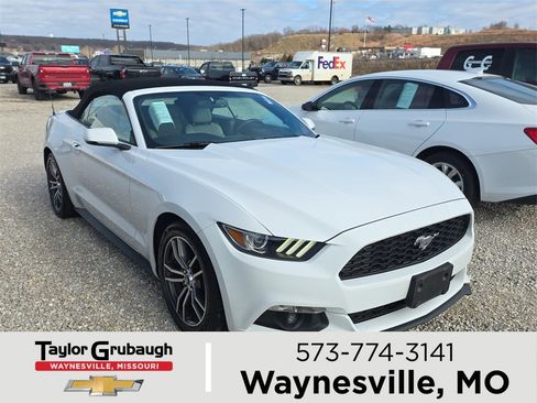 Used 2017 Ford Mustang Premium image 1