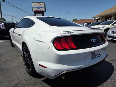 Used 2019 Ford Mustang Premium RWD image 4