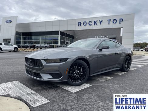 New 2026 Ford Mustang Coupe w/ Mustang Nite Pony Package image 1