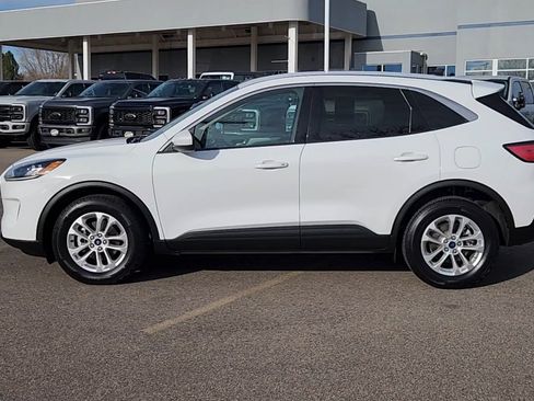 Used 2020 Ford Escape SE image 11