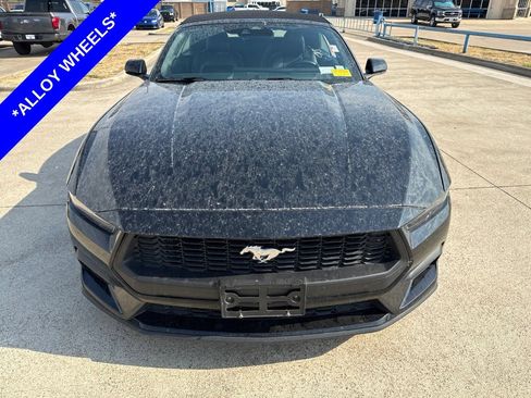 Used 2025 Ford Mustang Premium RWD image 2