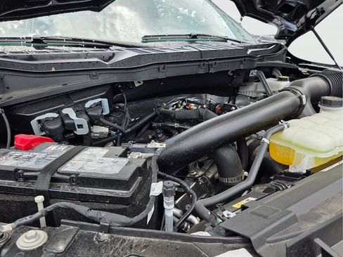 Used 2025 Ford F150 XLT w/ Equipment Group 301A Standard AWD/4WD image 24
