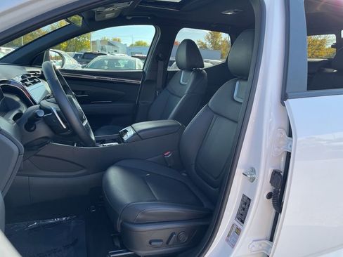 Used 2024 Hyundai Santa Cruz Limited image 21