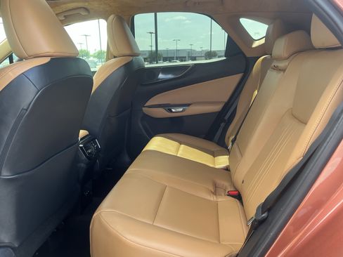 Used 2025 Lexus NX 250 FWD w/ Cold Area Package image 32