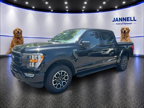 Used 2023 Ford F150 XLT w/ Equipment Group 302A High AWD/4WD image 1