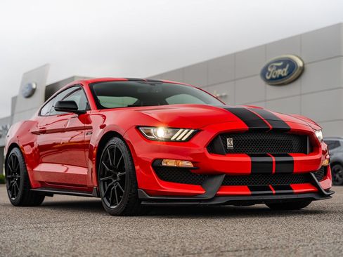 Used 2016 Ford Mustang Shelby GT350 w/ Technology Package RWD image 1
