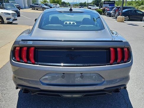 Used 2023 Ford Mustang Premium w/ Mustang Nite Pony Package RWD image 5