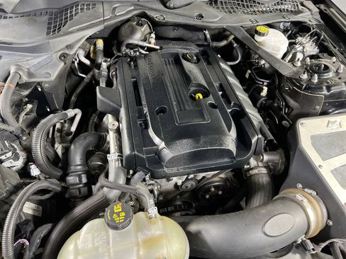 Used 2019 Ford Mustang Premium w/ Equipment Group 201A image 29