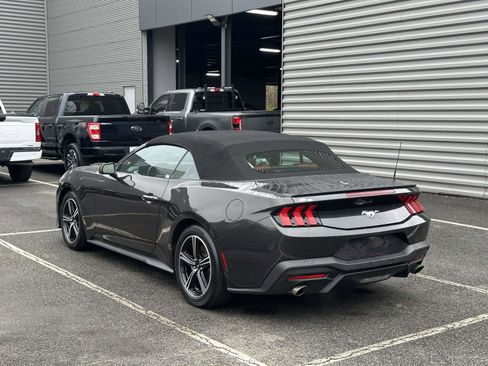 Used 2024 Ford Mustang Premium image 4