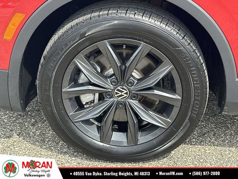 Used 2024 Volkswagen Tiguan SE AWD/4WD image 8