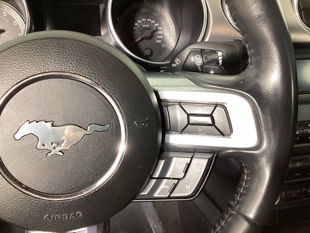 Used 2023 Ford Mustang GT w/ Mustang Nite Pony Package RWD image 19