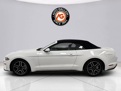 Used 2022 Ford Mustang Premium image 4