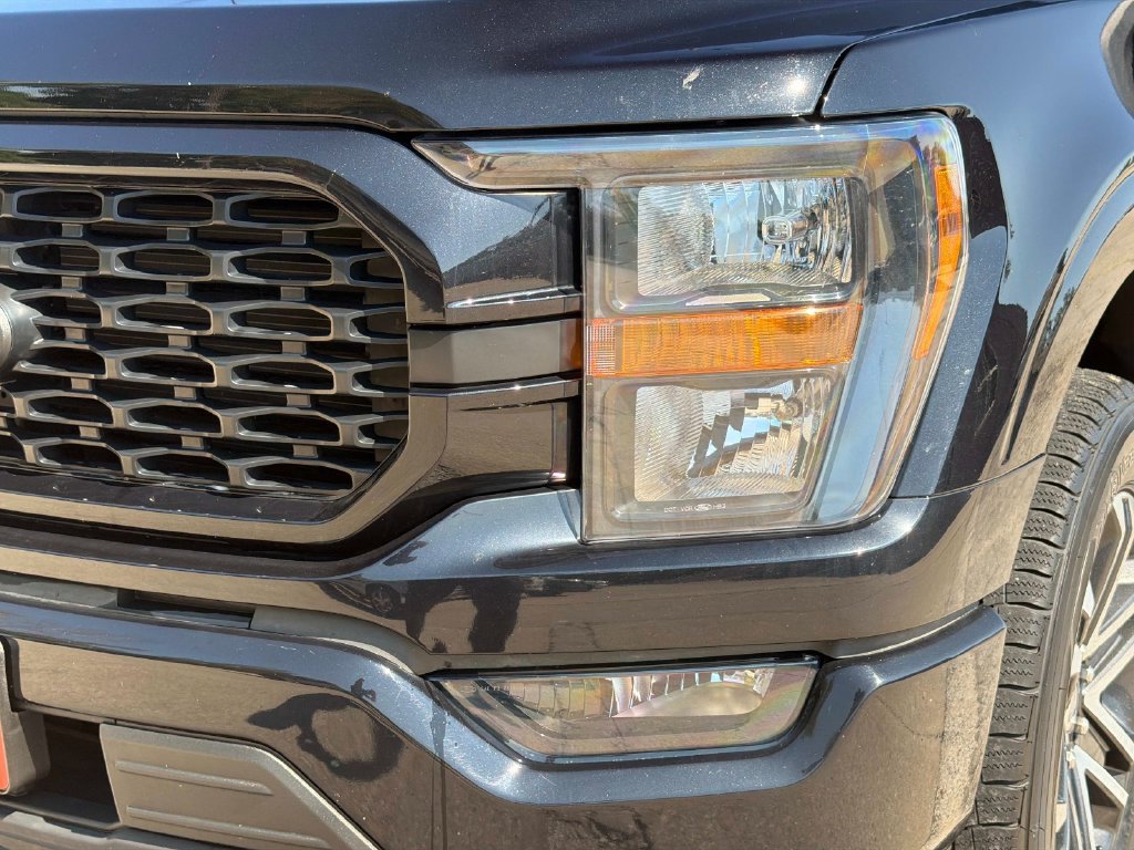Used 2023 Ford F150 XL w/ STX Appearance Package AWD/4WD image 11