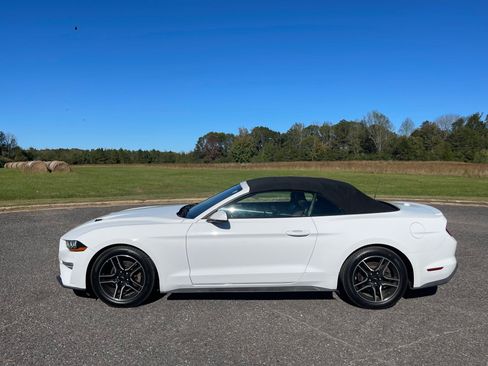 Used 2018 Ford Mustang Premium image 2