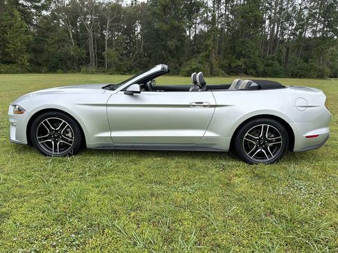 Used 2019 Ford Mustang Premium image 17