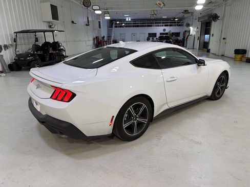 Used 2025 Ford Mustang Premium image 5