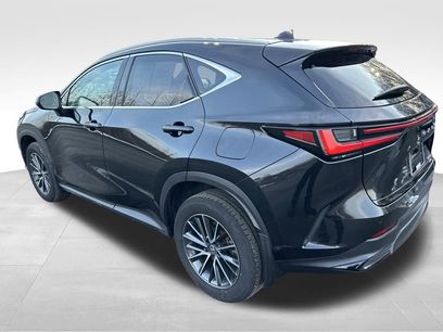 Used 2024 Lexus NX 350 AWD w/ Cold Area Package