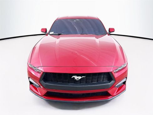 Used 2024 Ford Mustang Premium image 2