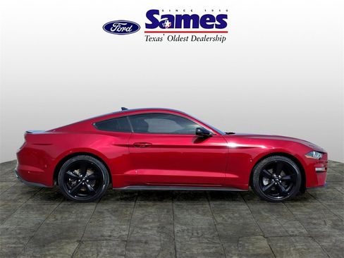 Used 2023 Ford Mustang Coupe w/ Equipment Group 101A image 5