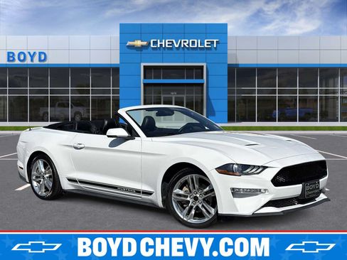 Used 2019 Ford Mustang Premium w/ Equipment Group 201A RWD image 1