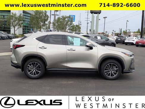 Certified 2025 Lexus NX 250 FWD image 4