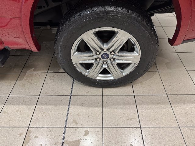 Used 2019 Ford F150 XLT w/ Equipment Group 302A Luxury AWD/4WD image 24