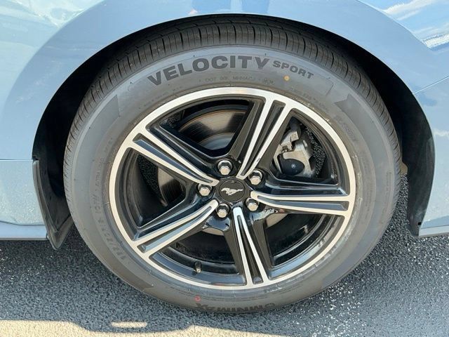 Used 2024 Ford Mustang Coupe RWD image 12