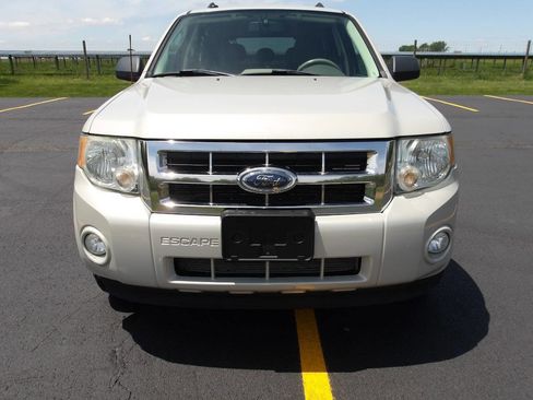 Used 2009 Ford Escape XLT AWD/4WD image 3