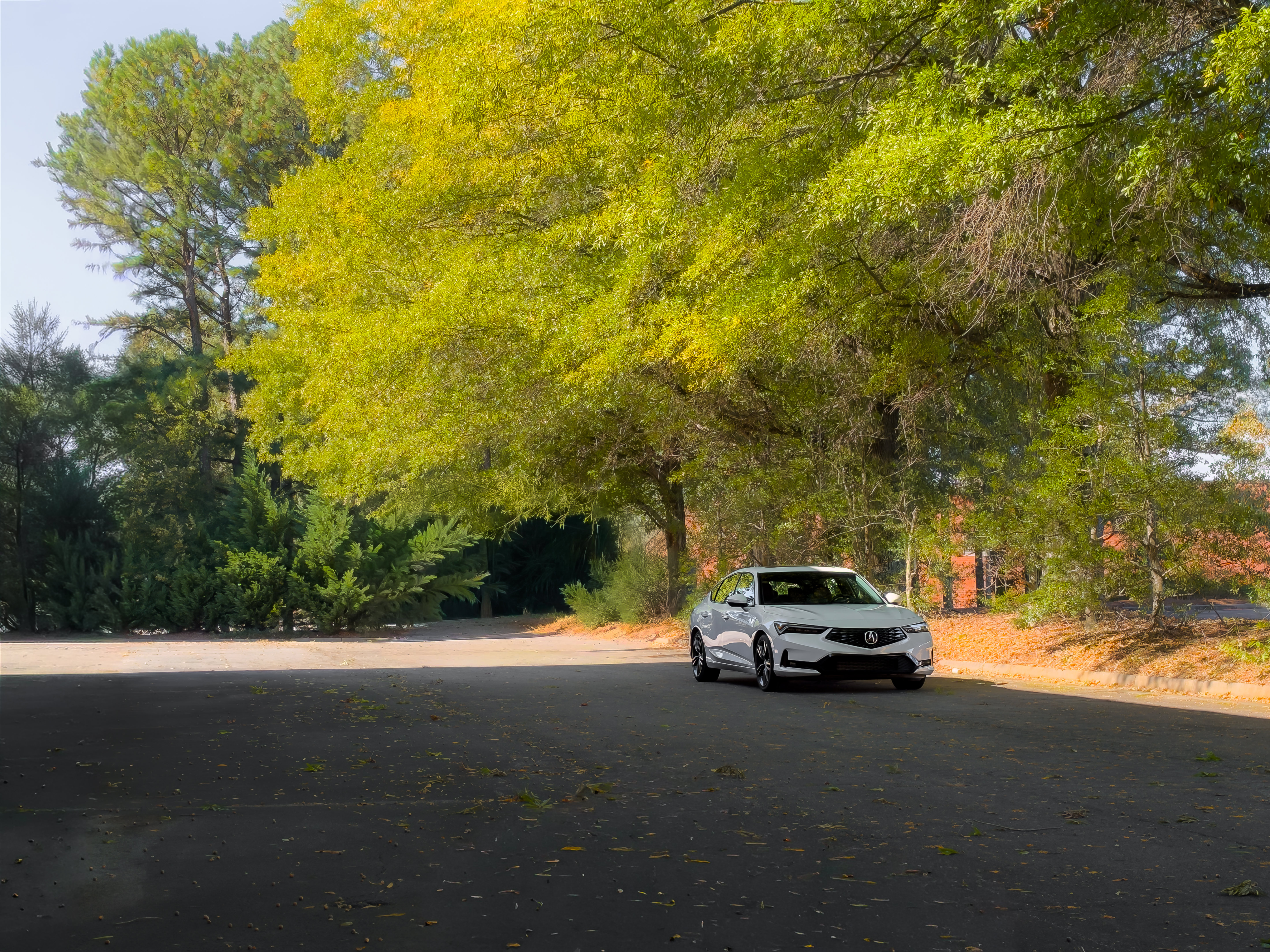 Used 2024 Acura Integra A-Spec FWD image 37