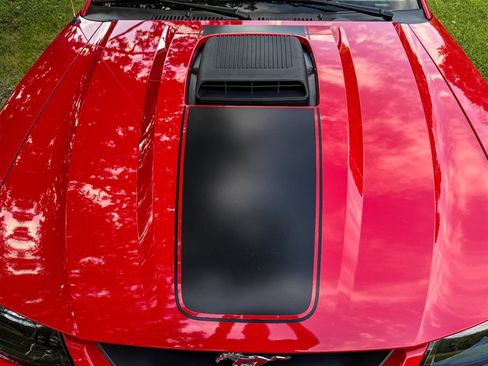 Used 2004 Ford Mustang Mach 1 RWD image 14
