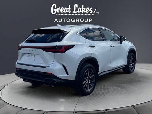 Used 2024 Lexus NX 350h AWD image 5