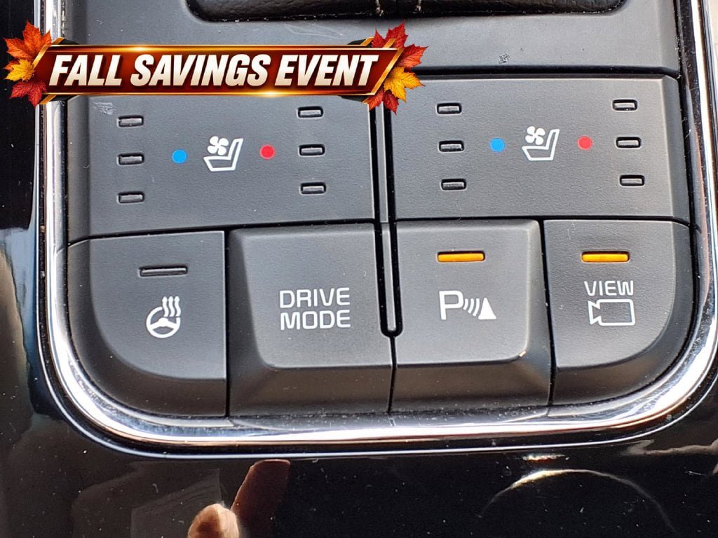 Used 2016 Kia Sedona SX FWD image 16