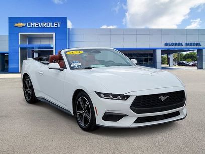 Used 2024 Ford Mustang Premium