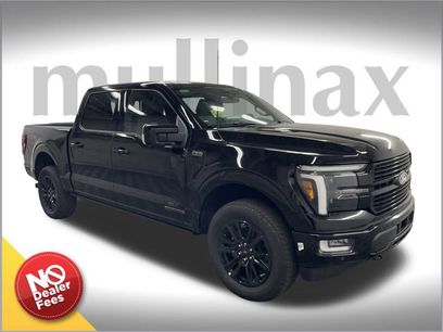New 2025 Ford F150 Platinum