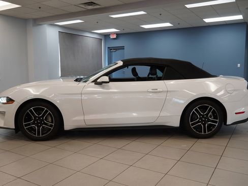 Used 2020 Ford Mustang Premium RWD image 2