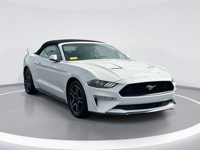 Used 2019 Ford Mustang Premium