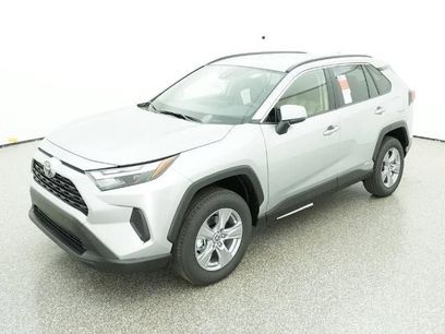 New 2025 Toyota RAV4 XLE