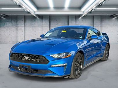 Used 2019 Ford Mustang EcoBoost 2dr Fastback w/ Ecoboost Performance Package