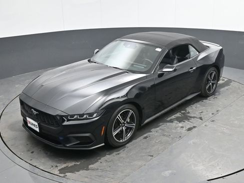Used 2025 Ford Mustang Premium image 41