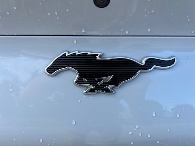 Used 2023 Ford Mustang Mach-E Premium AWD/4WD image 39