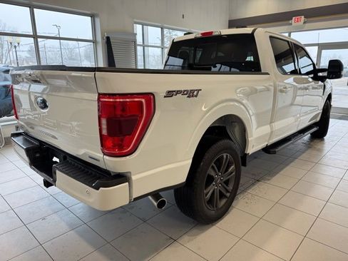 Used 2023 Ford F150 XLT w/ Equipment Group 302A High image 6