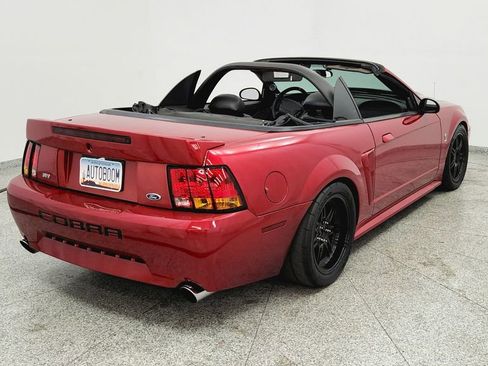 Used 2001 Ford Mustang Cobra image 11