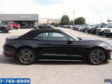 Used 2018 Ford Mustang Premium image 4