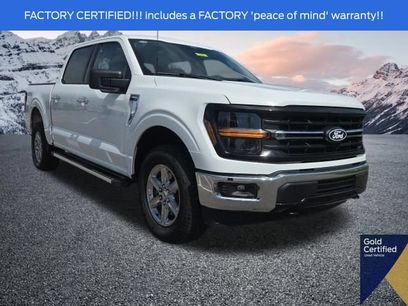 Used 2025 Ford F150 XLT w/ Equipment Group 301A Standard