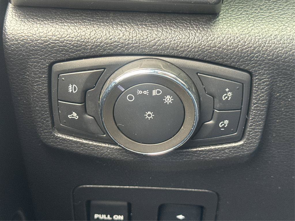 Used 2020 Ford F150 XLT w/ Equipment Group 302A Luxury AWD/4WD image 16