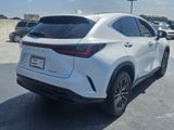 Certified 2022 Lexus NX 250 FWD w/ Premium Package image 4