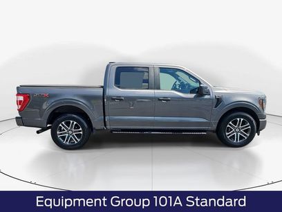 Certified 2023 Ford F150 XL w/ STX Appearance Package