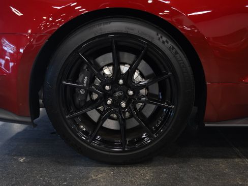 Used 2019 Ford Mustang Shelby GT350 w/ Technology Package RWD image 11