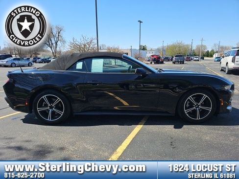 Used 2024 Ford Mustang Premium image 4
